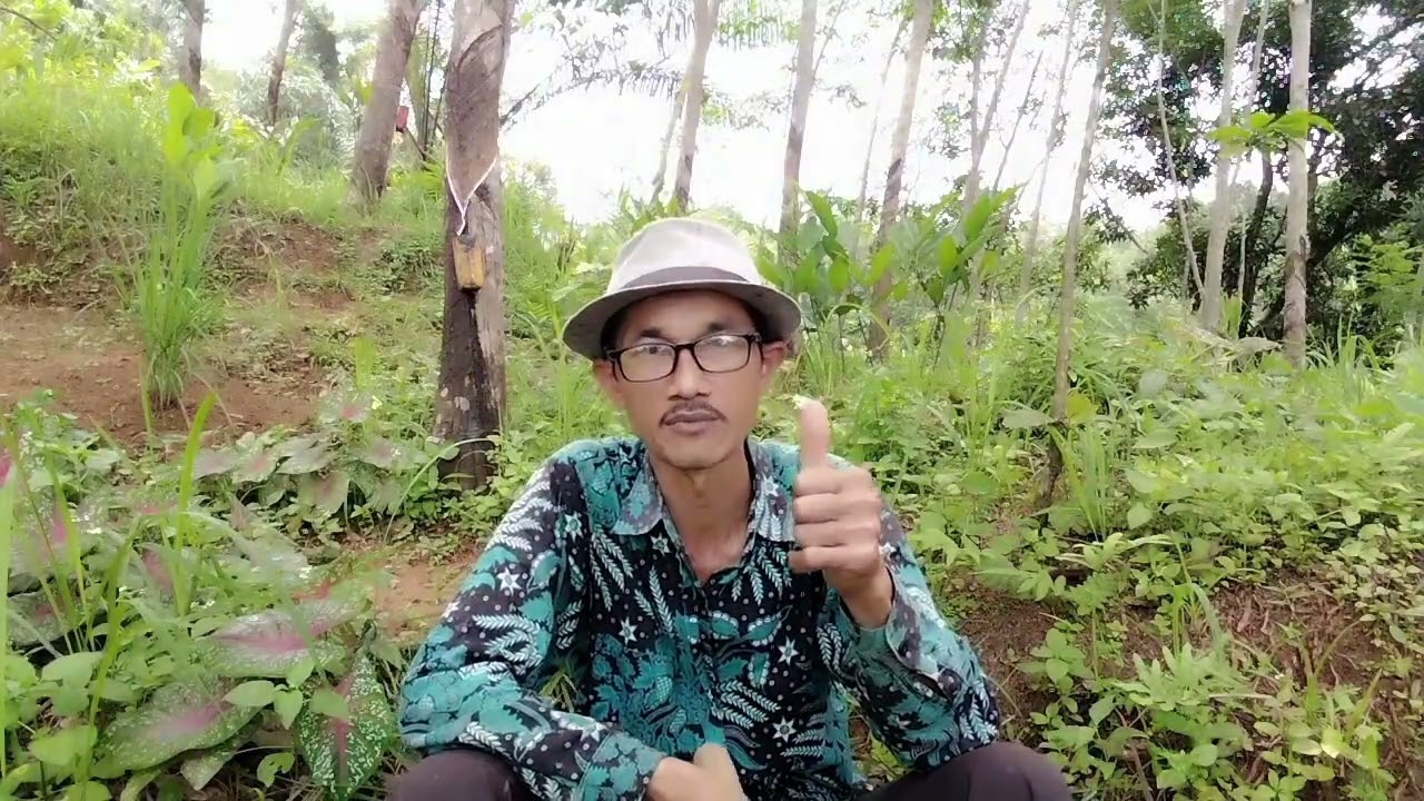 SEANDAINYA KDM JADI PRESIDEN AKAN BEGINI BEGITU #edukasi 