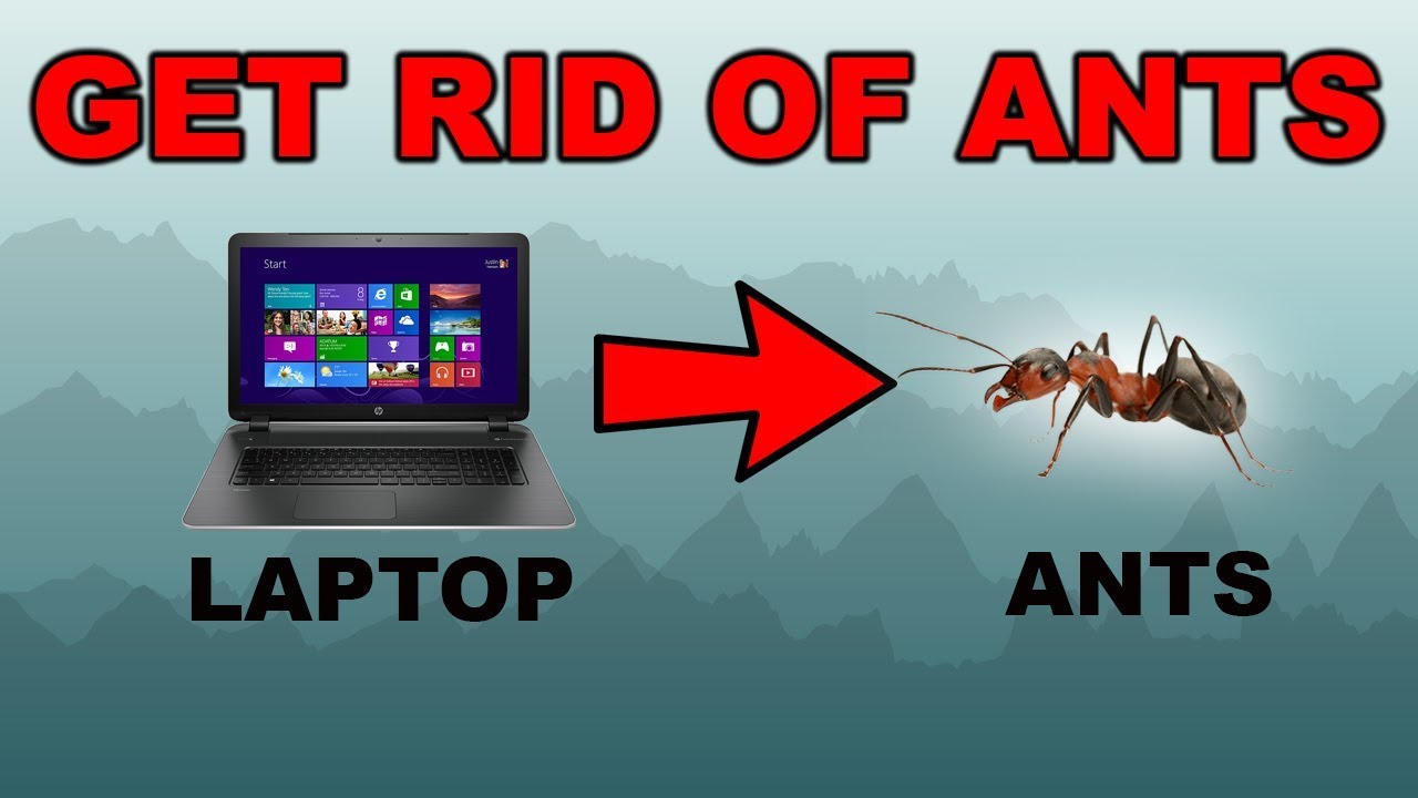 Remove Ant's From Your Laptop ! - Get Rid of Ants!!