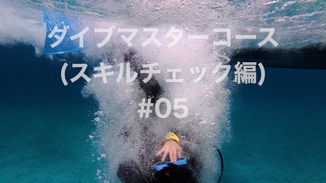 【記録映像｜ダイブマスター講習 #05】2026年1月・DMコース5日目｜24スキルWS（予備空気源／ホバリング／フリーフロー等）｜基礎スキルチェック編｜沖縄県・恩納村｜BlueLeaf