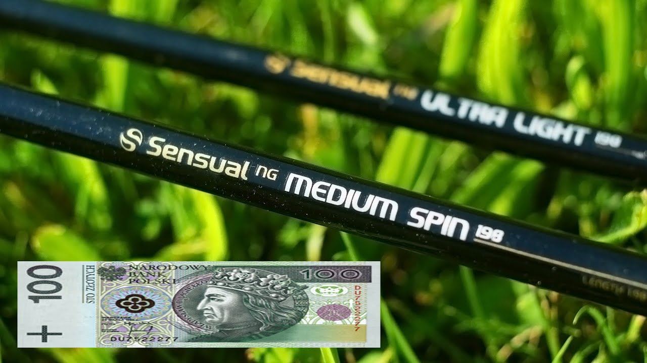 KŁA WĘDECZKA NA SANDACZA ZA 100PLN!!! | Mikado Sensual Ng Spin Review