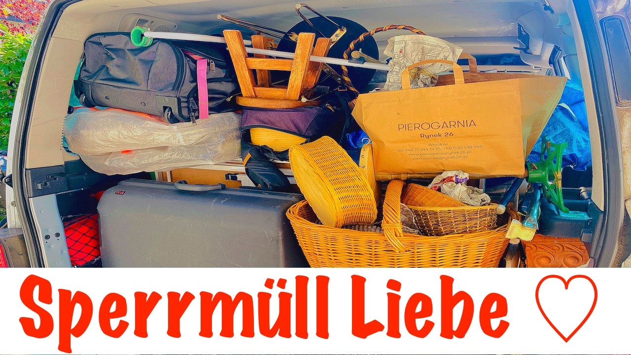 #SPERRMÜLL ♻️🚯 Teil XXVII - WIR👥 FINDEN Strahler✨ Teppiche🛒 Lebensmittel  #Mannheim #streetart - 4K