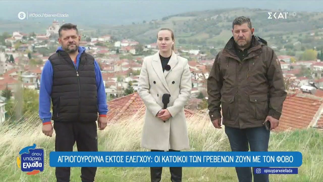 Αγριογούρουνα εκτός ελέγχου: Οι κάτοικοι των Γρεβενών ζουν με τον φόβο | Όπου Υπάρχει Ελλάδα