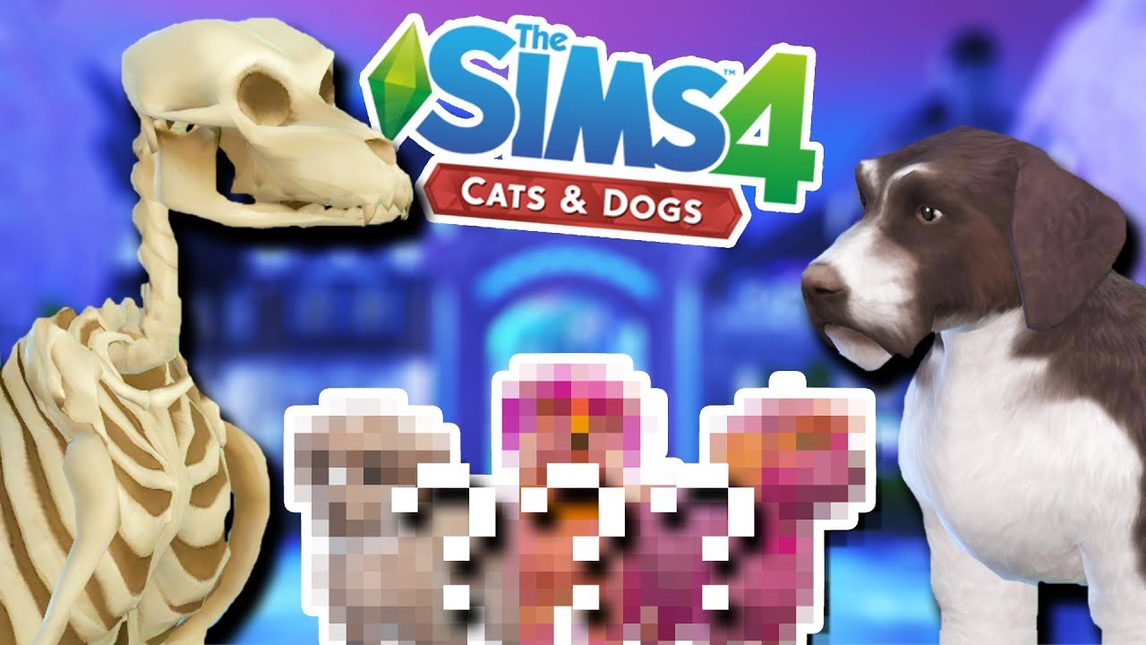 A Litter of Magical Skeleton Dog Puppies?! 💀💕🐶