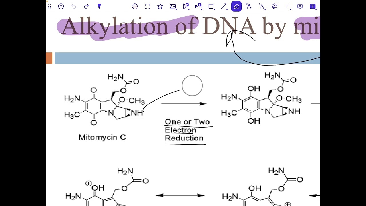 Pharmaceutical chemistry(Mitomycin c)عضوية وزاري مرحلة رابعة صيدلة 