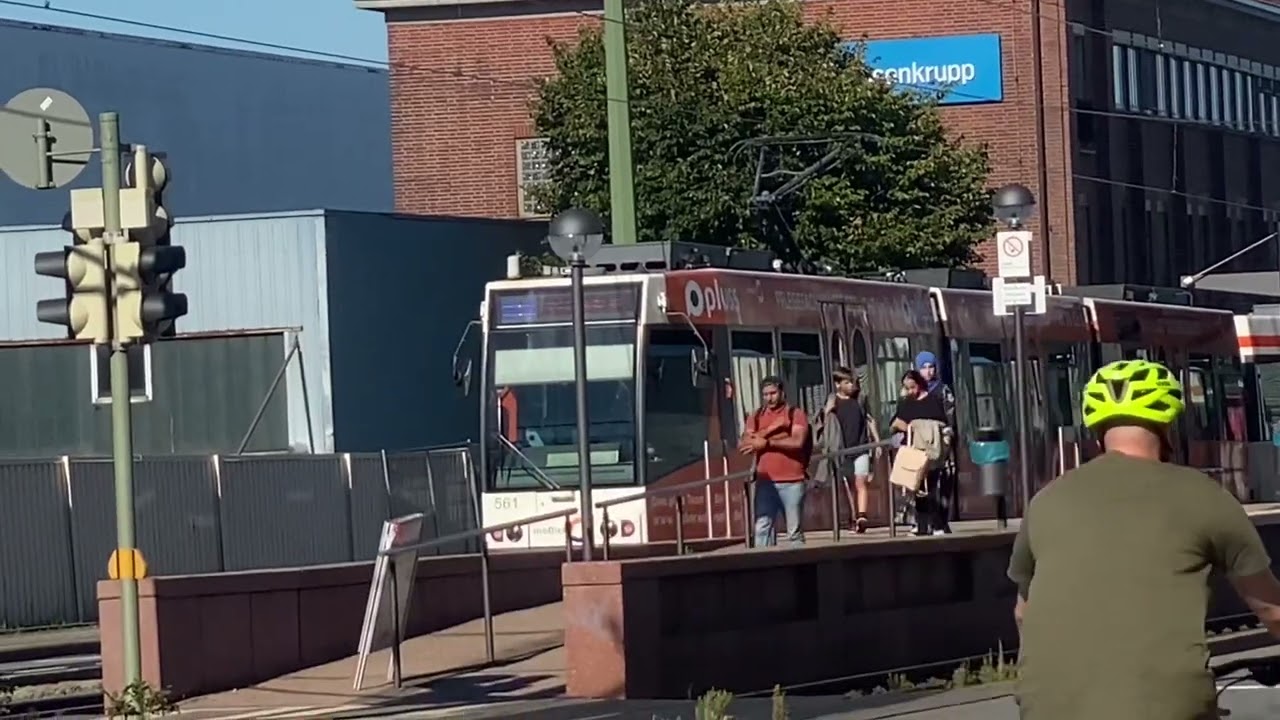 moBiel M8D + MB4 561 & 512 & 570 / Linie 1 Brackwede Bahnhof
