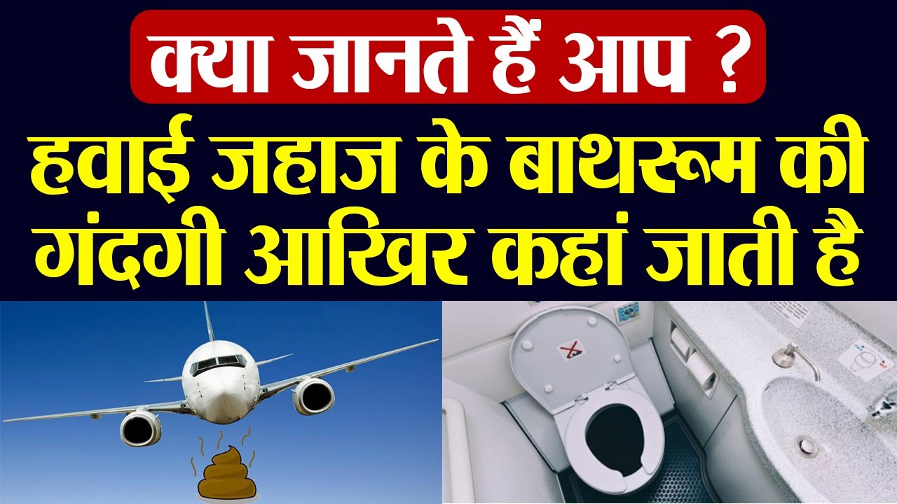 हवाई जहाज के बाथरूम की गंदगी आखिर कहां जाती है | Where does Toilet Waste Go On a plane | Boldsky
