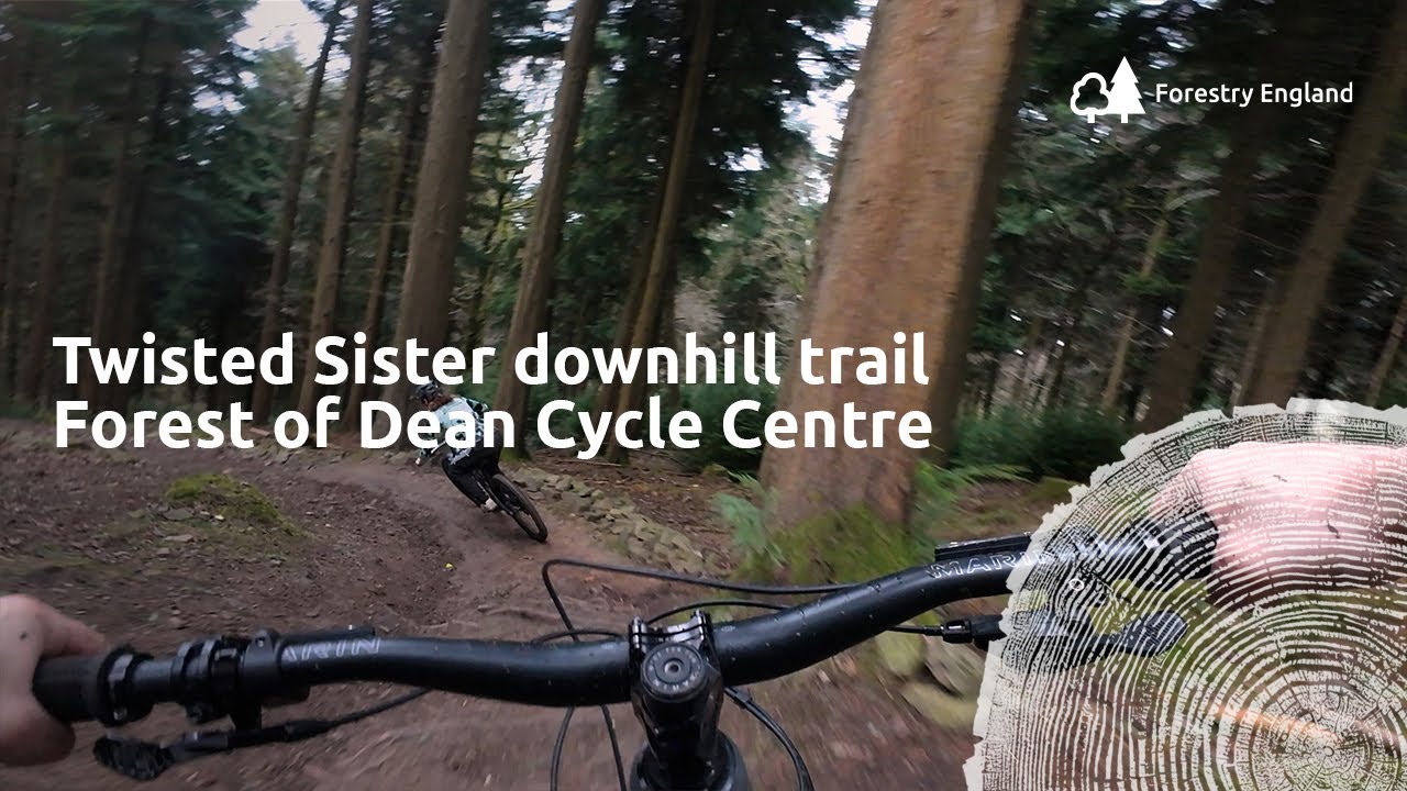 Twisted Sister | red downhill mountain bike trail PoV | Forest of Dean cycle centre cycle