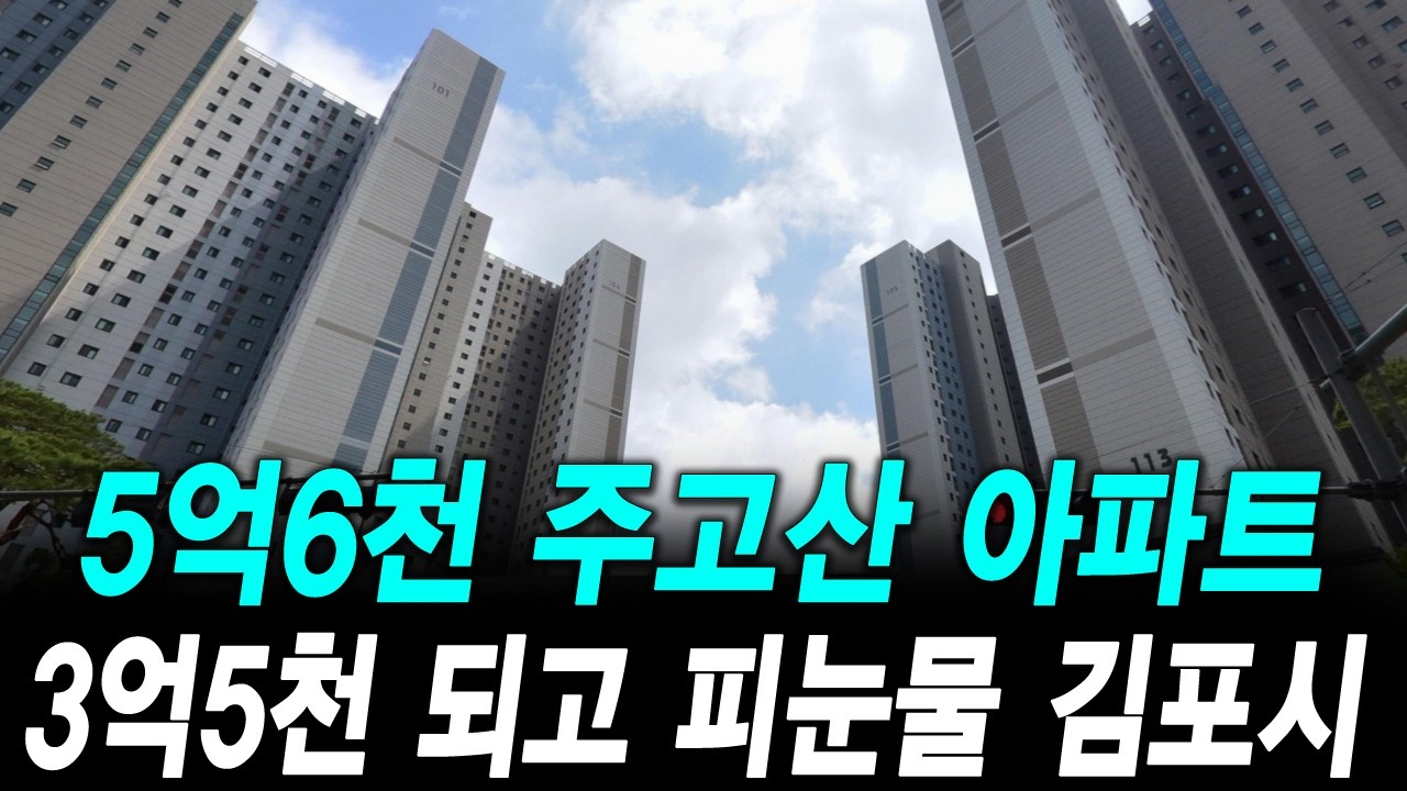 5억6천 주고산 아파트 3억5천 되고 피눈물 김포시