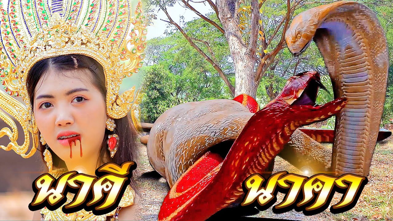 จุดจบมรณะ!! นาคี ปะทะ นาคา | หนังสั้น นาคี 2 EP.4 | พี่เฟิร์น 108Life