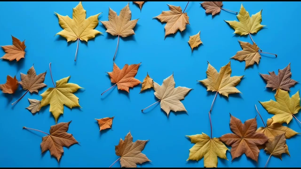 chroma key leaf effects