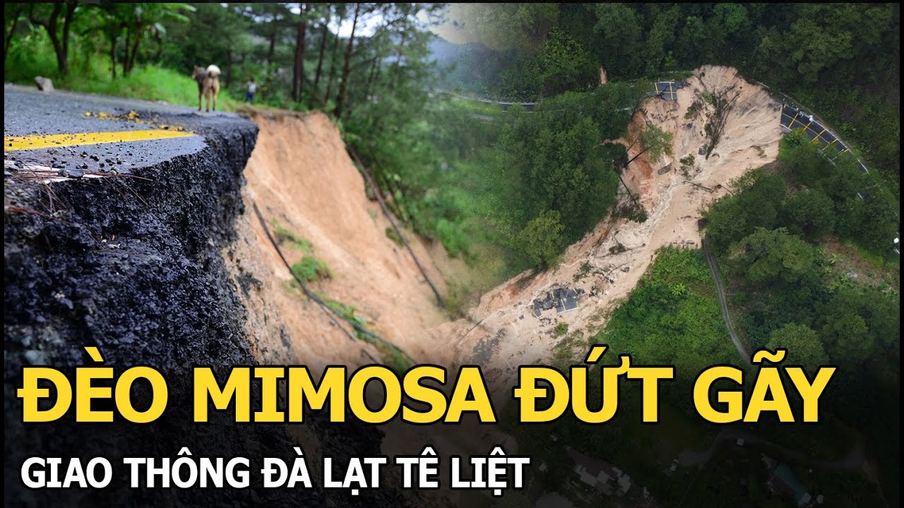Đèo Mimosa đứt gãy, giao thông Đà Lạt tê liệt