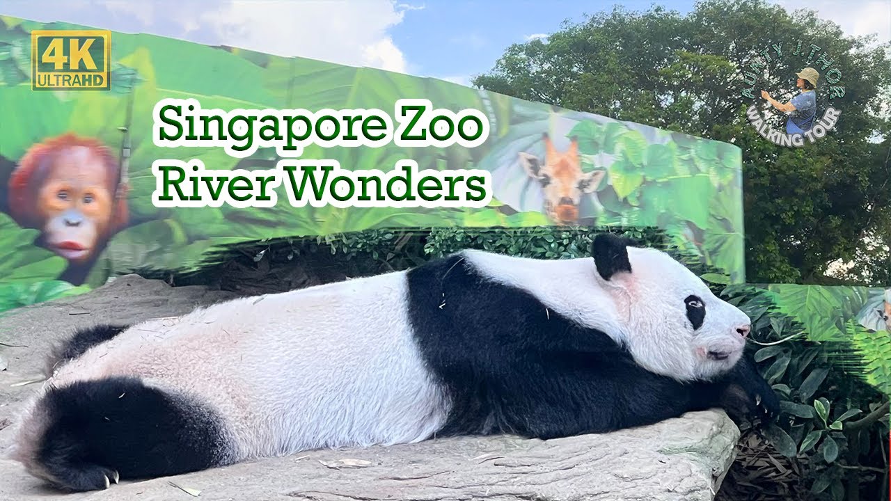 Mandai Wildlife Reserve | River Wonders | Singapore Zoo
