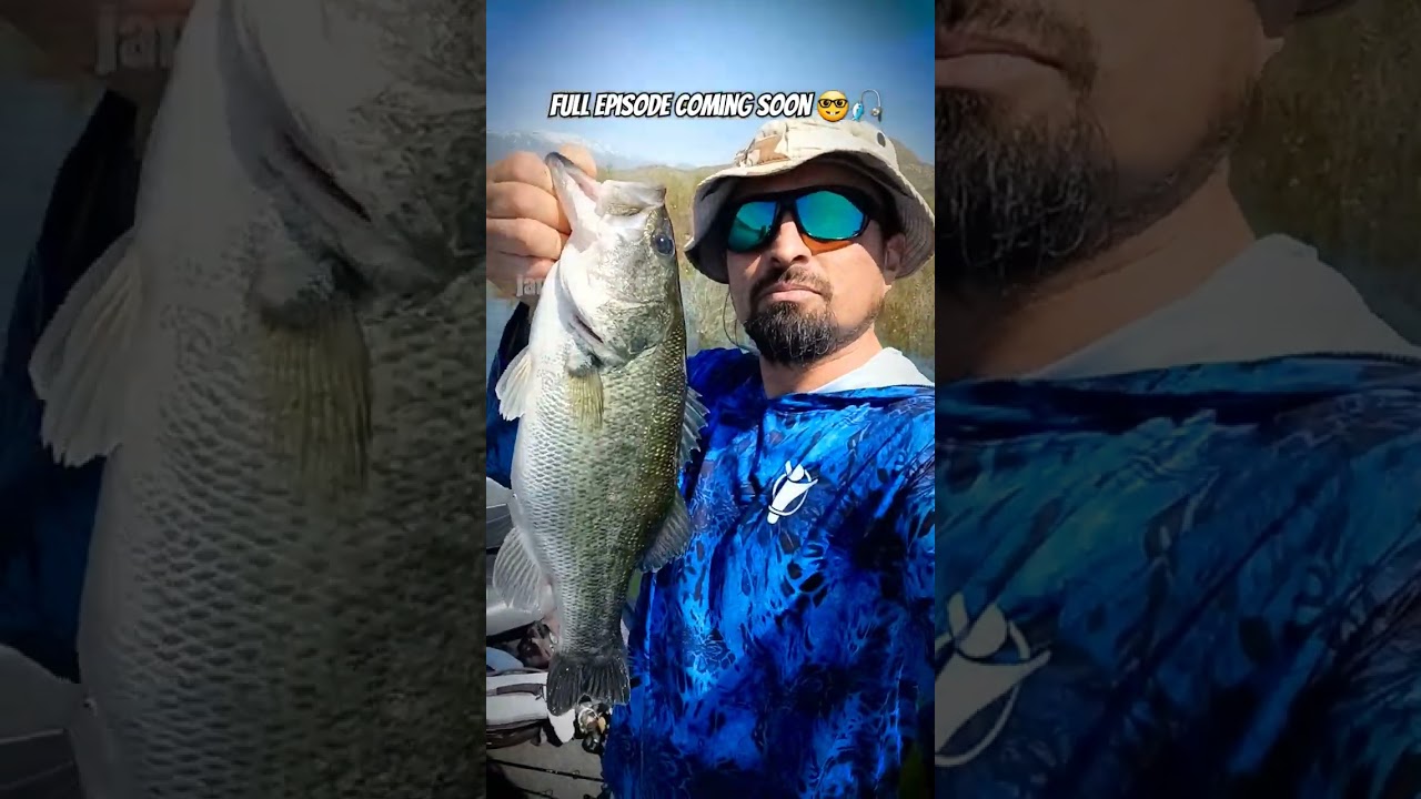 Lake Perris Spawn Bass Fishing 2025 