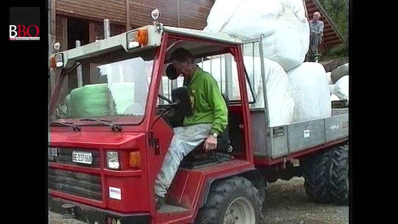 Futterhilfe im Oberhasli 1999