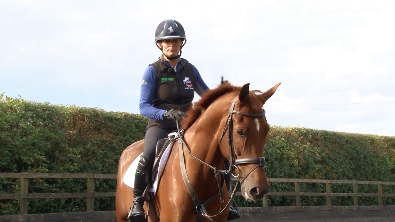 Training the Young Horse for Eventing - Introducing a young horse to a course