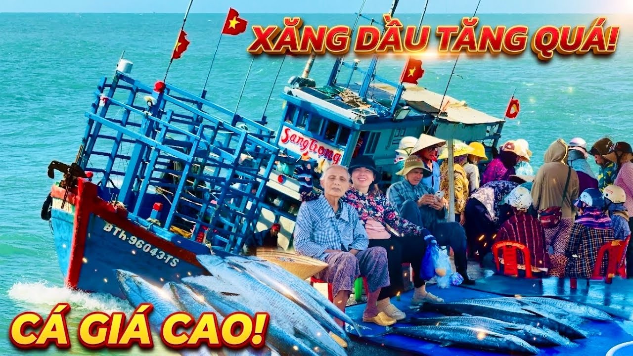 Xăng Dầu Tăng Quá Cao 12/3/2026! Ít Ghe Ra Biển – Cá Tươi Vừa Về Bị Tranh Mua