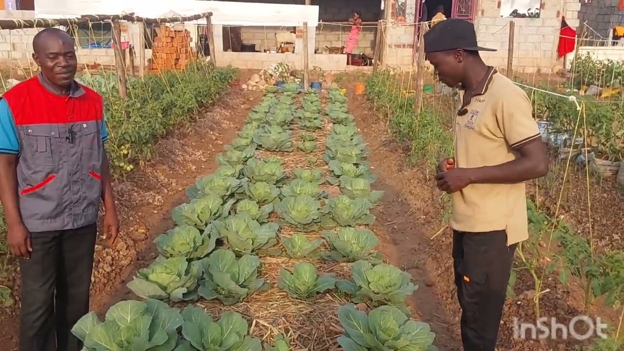 2026 Youth in Agriculture Program (Fischi farm Uganda )