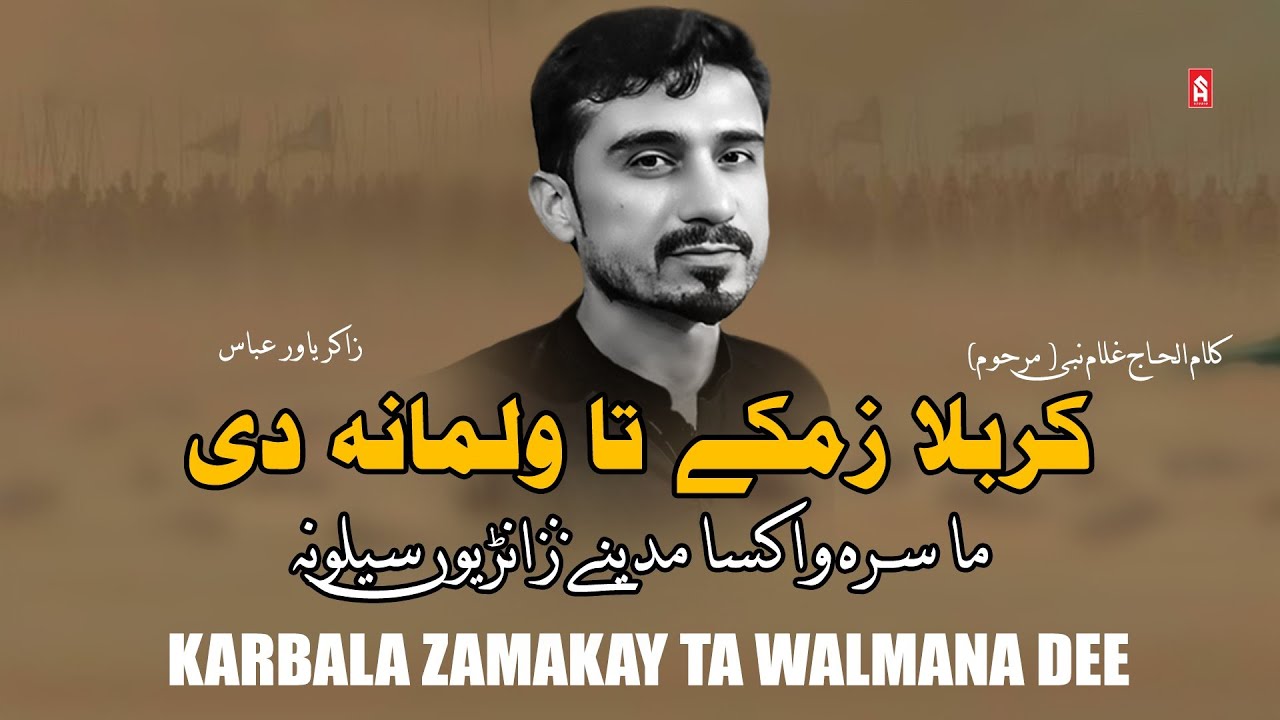 Pashto Noha | Karbala Zamakay Ta walmana Yo | Zakir Yawer Abbas | Naw Pashto nohay 2023-2024