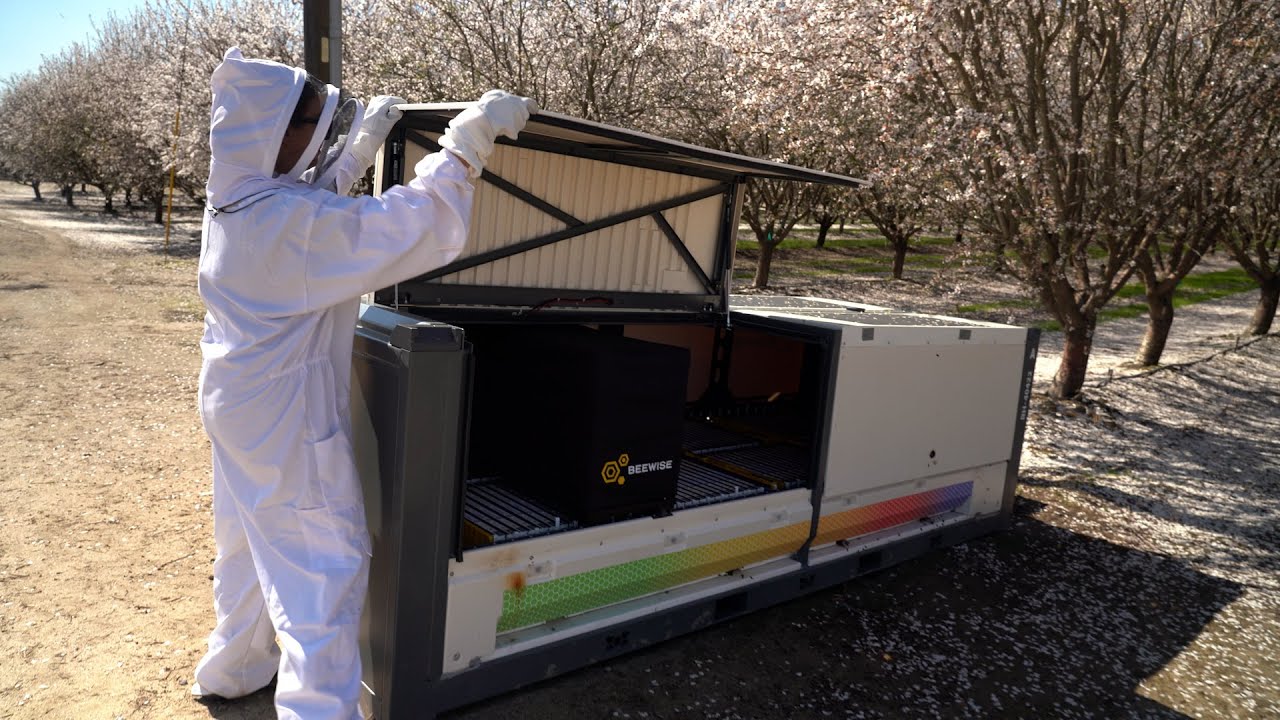 Smart Beehives to Save the Bees