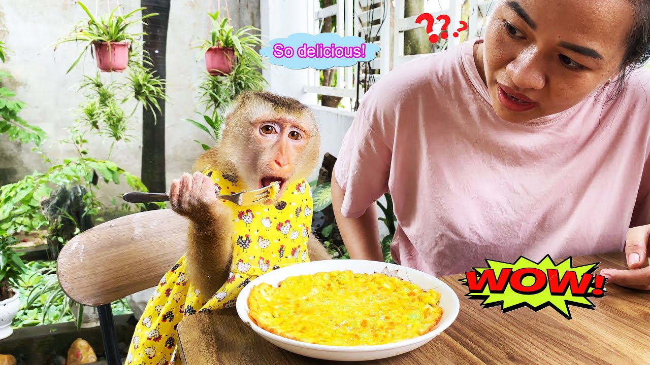 Monkey Lyly excitedly cooks her favorite dish with all her love with her mother.