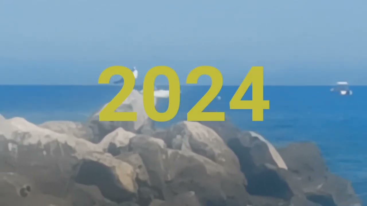 POVERO GABBIANO parte 3, 2 anni dopo