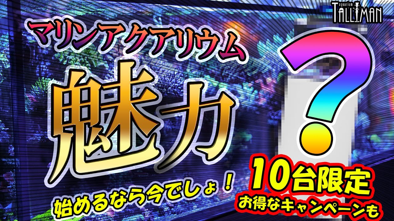 【極みシリーズ】始めるな今！！海水水槽の魅力の極み【ショートマンTV】