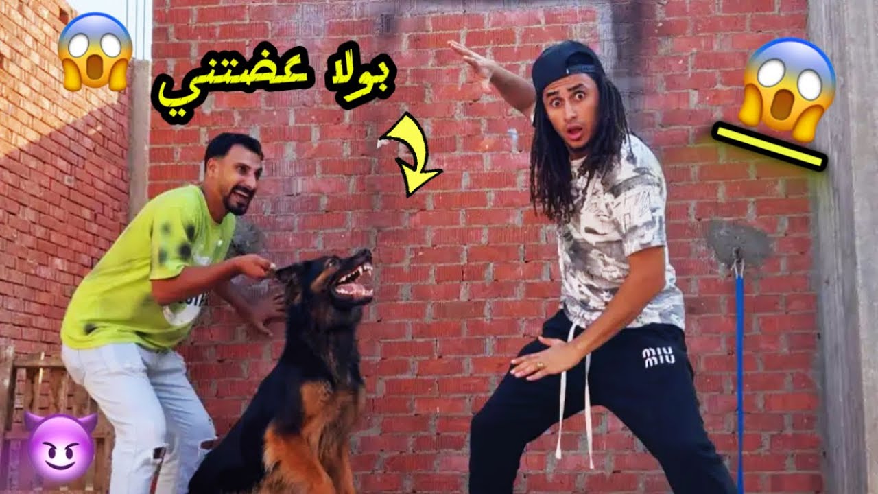روحت عند عاصم وبولا عضتني 😱|| شرسه 🔥