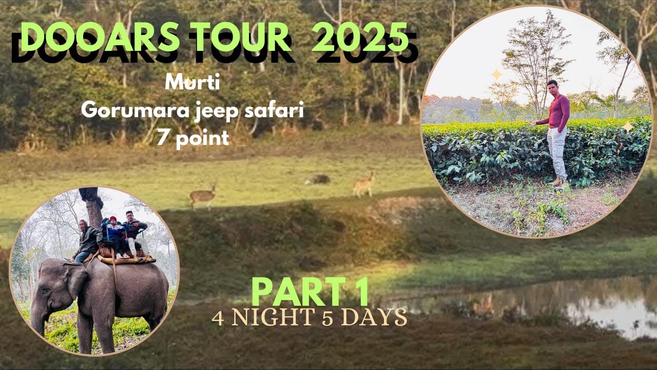 Dooars Tour | room tariff | 7 point sightseeing | Lataguri hotel | Green tea resort Lataguri 