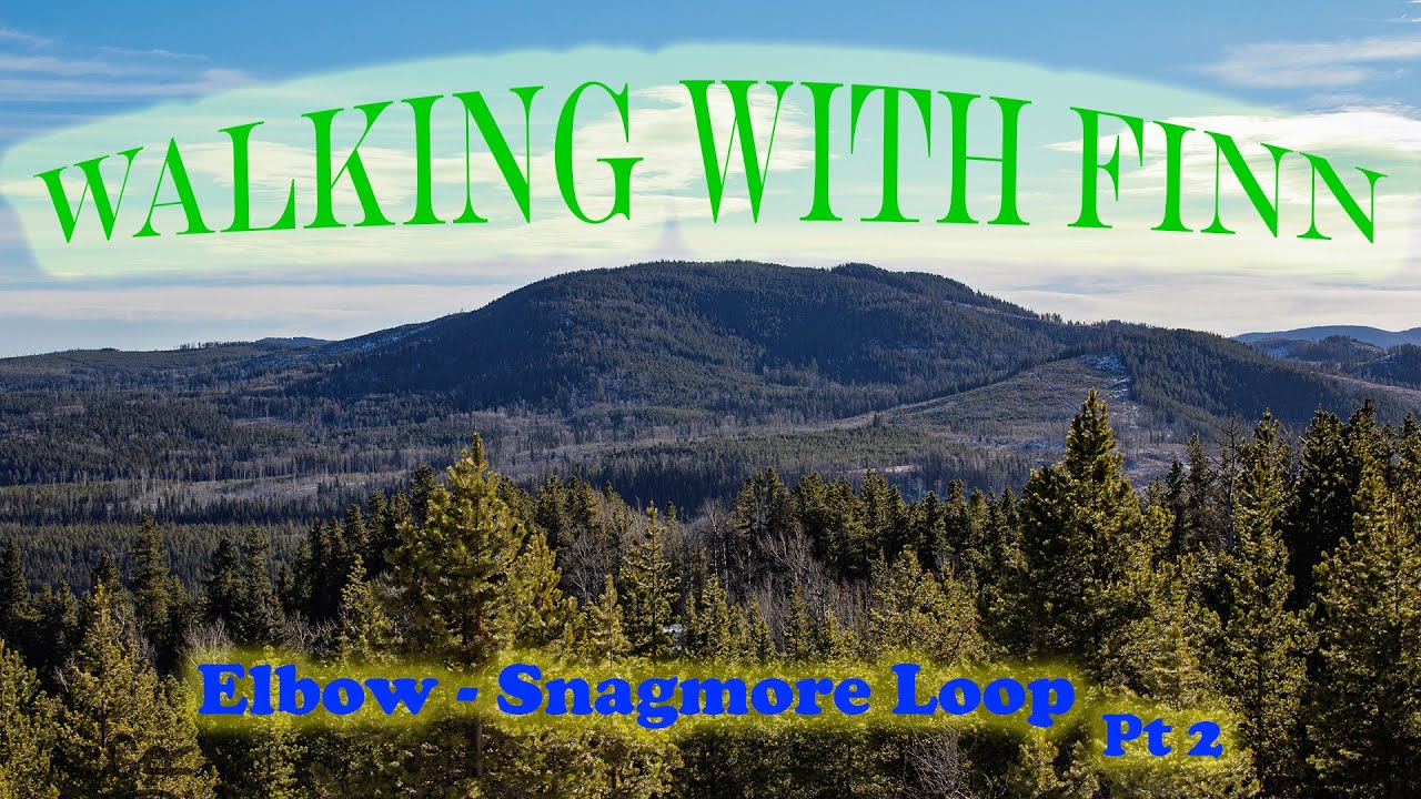 Relaxing walk in the woods - Elbow Snagmore Pt2