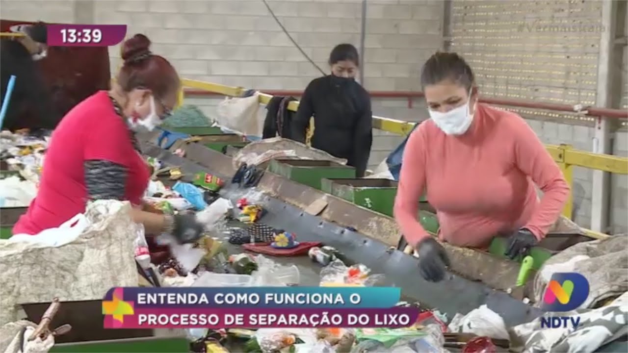 Entenda como funciona o processo de separação do lixo