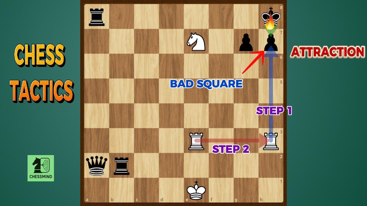 Chess Tactics for Beginners : Attraction