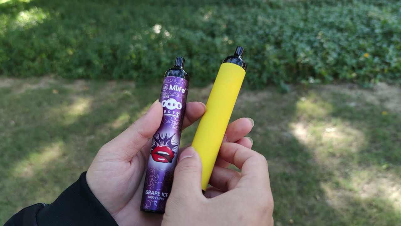 6000Puffs | disposable vape factory | oem vape | e-cigarette manufacturer | mlife vape