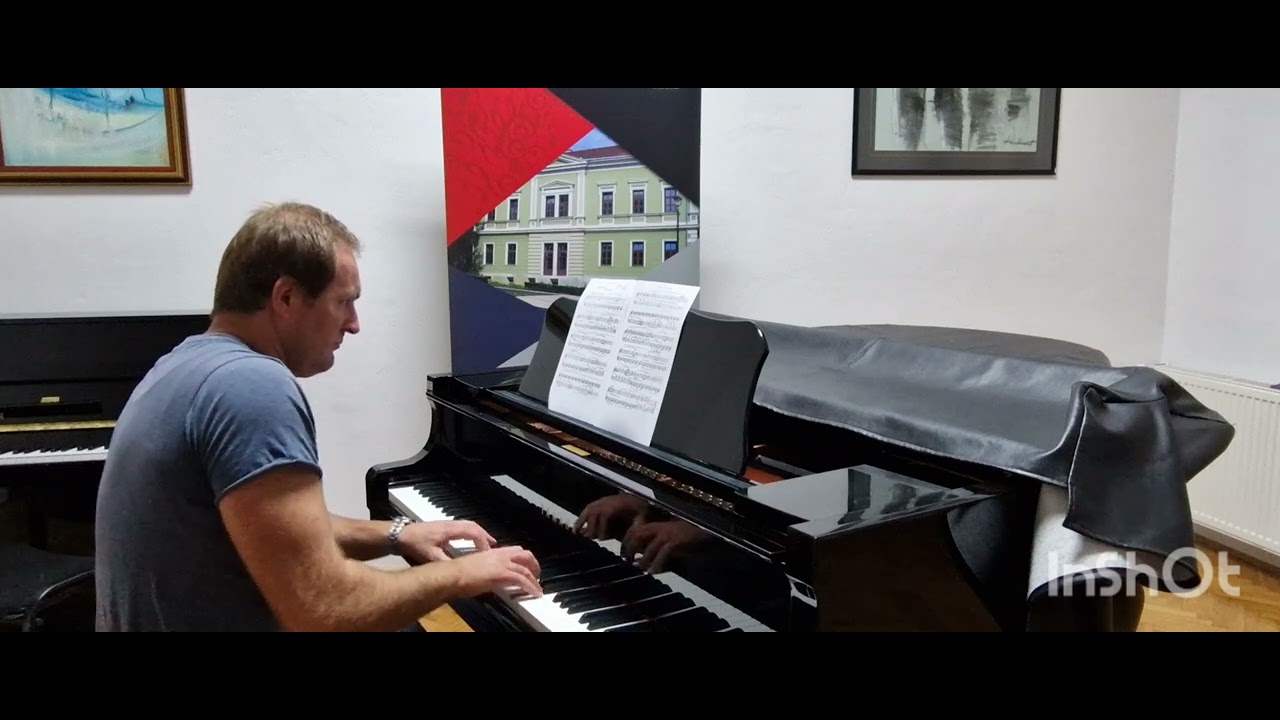 P. I. Čajkovski: Sweet dream Tomislav Milić, piano