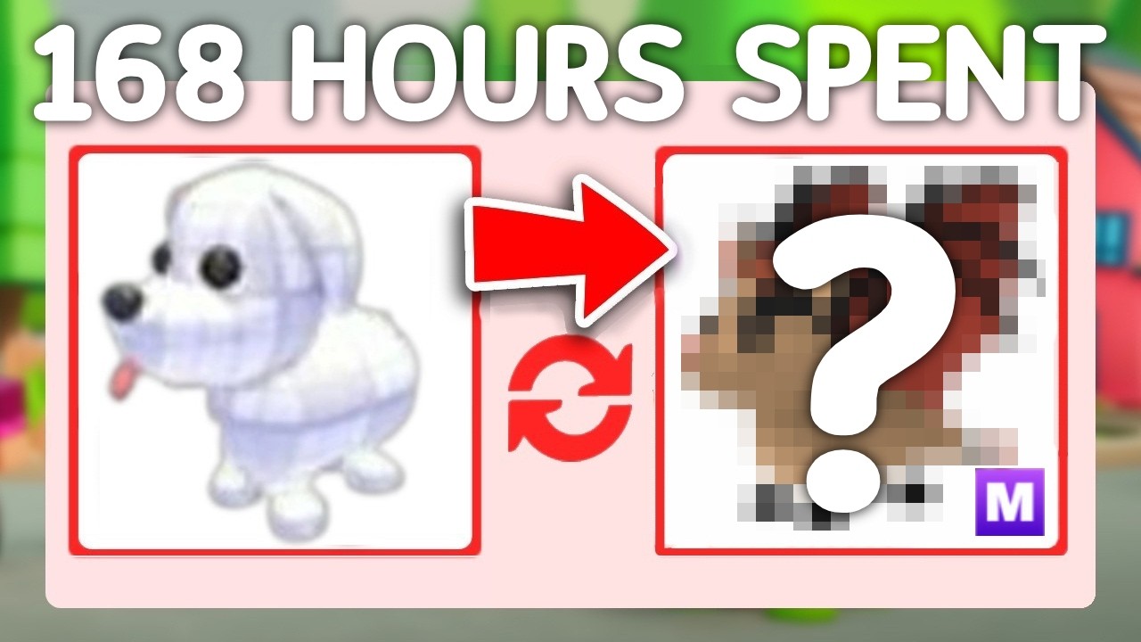 7 Days POOR To RICH On New Adopt Me Account