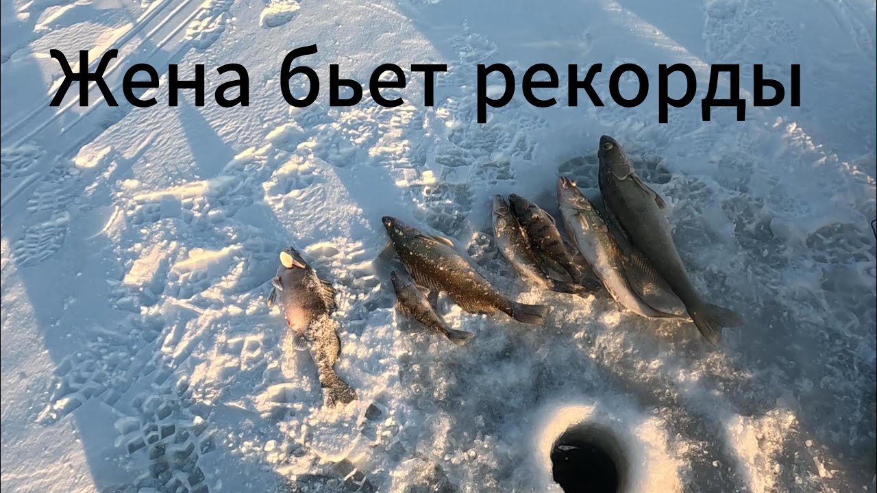 Первая рыбалка в 2026 году. Удача перешла к жене.