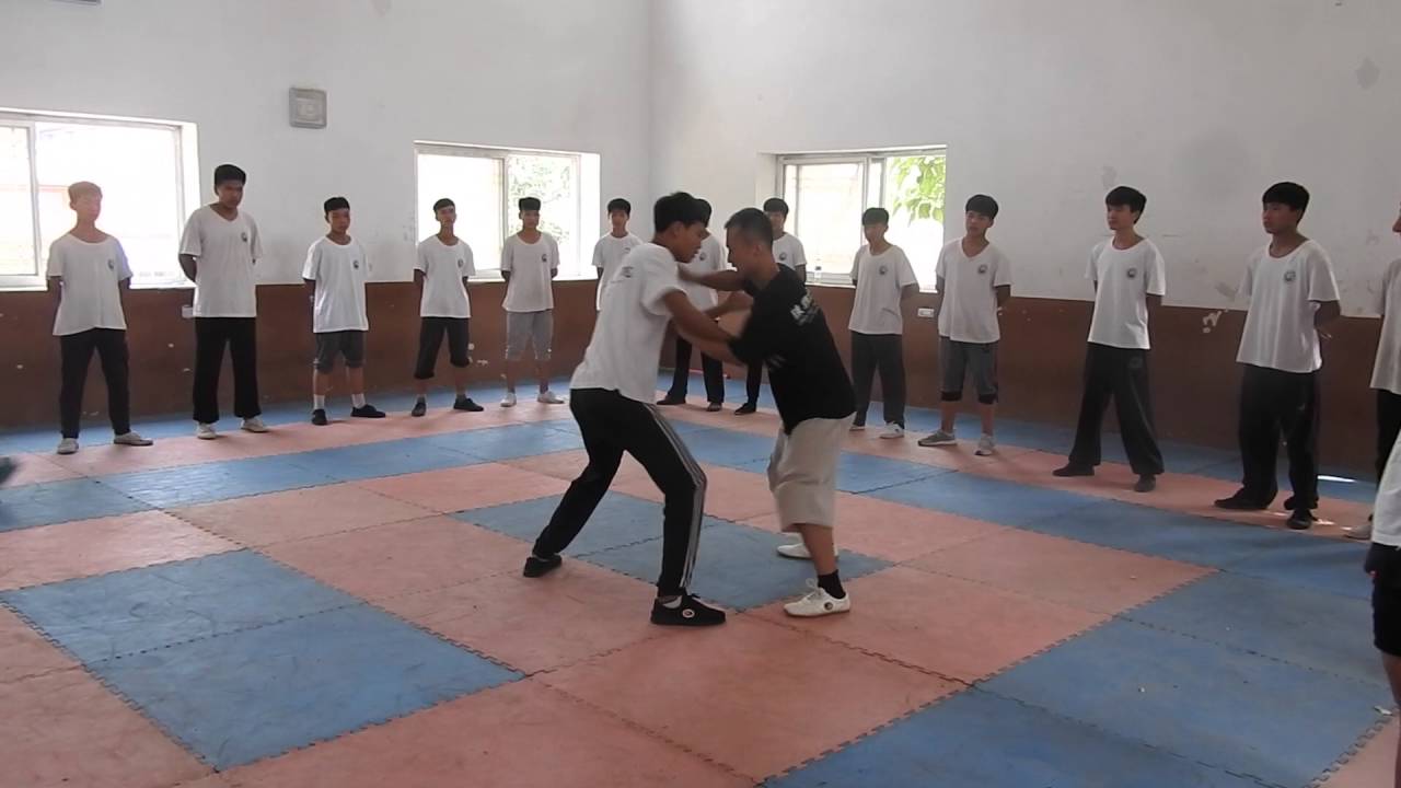 Tui Shou libre "Chen Bing Taiji Academy Chenjiagou 2016".