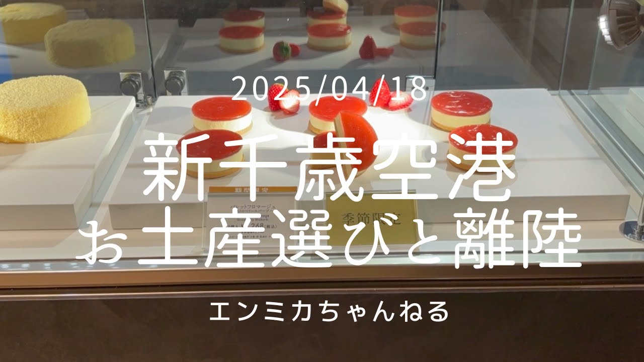 新千歳空港で手に入る手頃なお土産はこれ！新千歳空港から羽田空港｜離陸｜JAL510