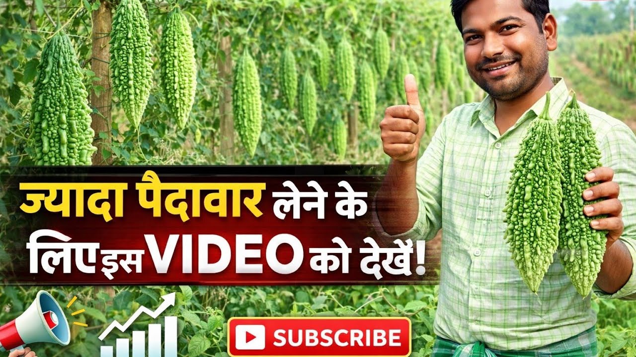 करेला उगाकर किसान बना अमीर? 😲 पूरी सच्चाई!” @jawedagriindia6755  @biharkachotakisan 