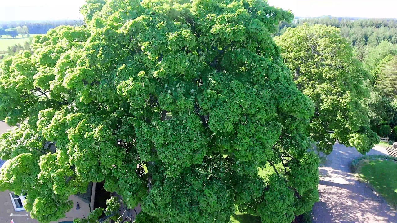 Huntly Cot, Midlothian Scotland 4K