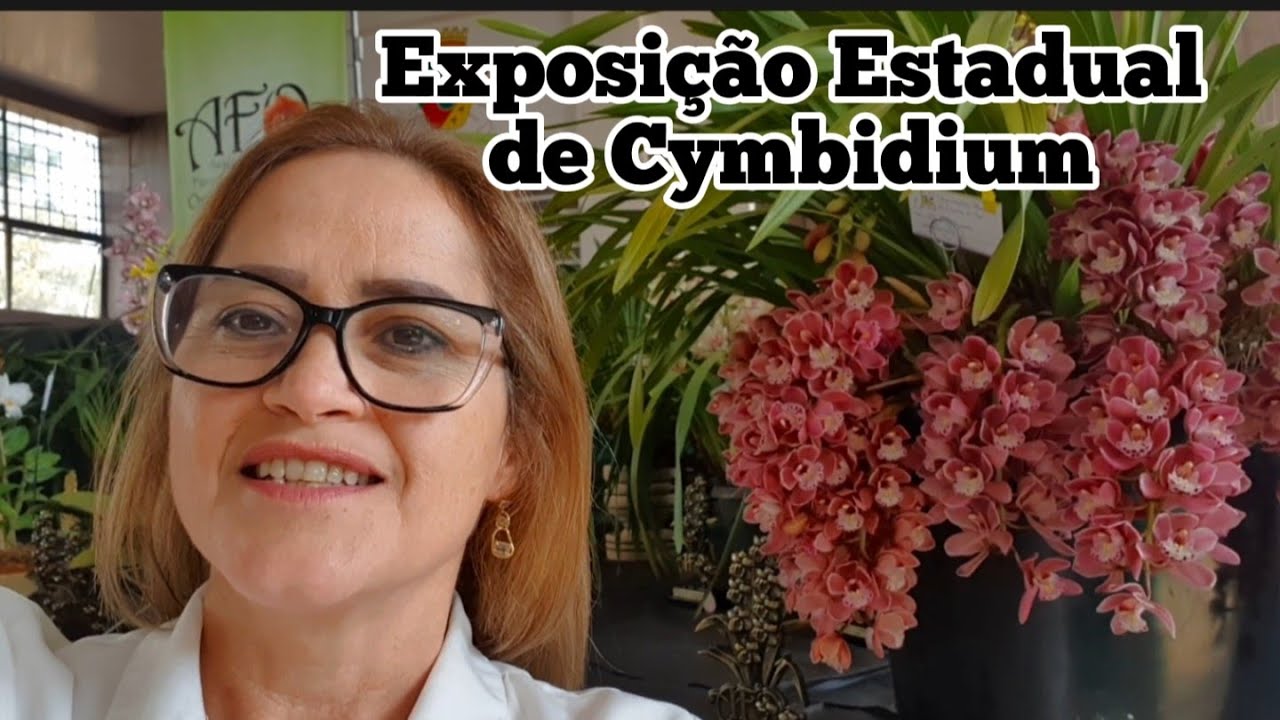 Vem passear comigo na 10ª Exposição Estadual de Cymbidium de Farroupilha-RS#orquideas #cymbidium