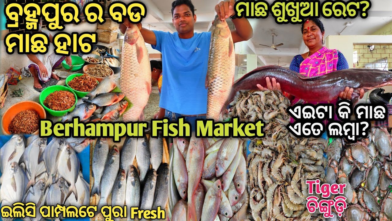 Biggest Fish Market In Berhampur|Fish Market In Odisha