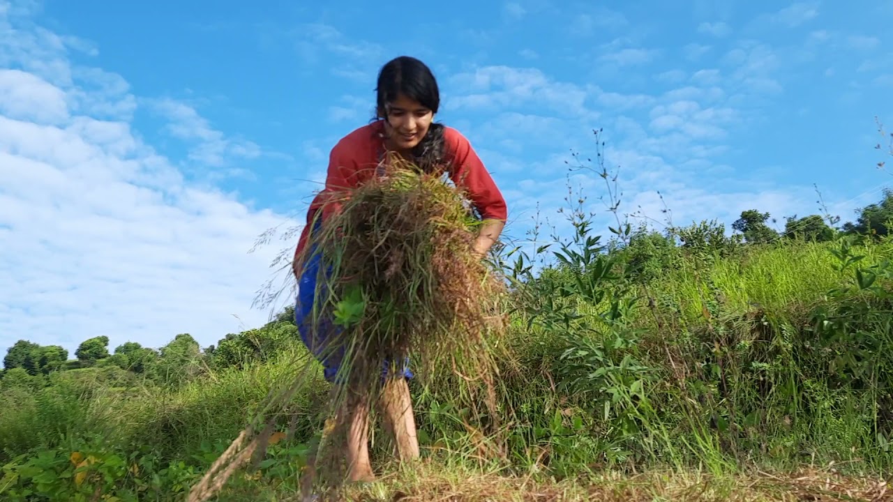 Primitive lifestyle in Rural Nepal Life in Western Nepal Village life in Nep Unseen Beautiful