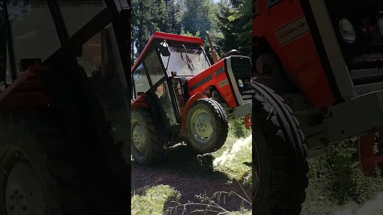 C 330M MF 255 zrywka i załadunek jodły