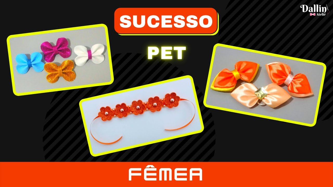 3 Acess&oacute;rios Pet para F&ecirc;mea - F&Aacute;CIL (🤩Sucesso no Canal)