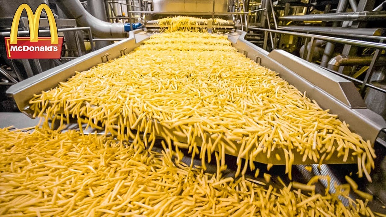 COMO AS BATATAS FRITAS DO MCDONALD'S S&Atilde;O FEITAS. PRODU&Ccedil;&Atilde;O DE ALIMENTOS