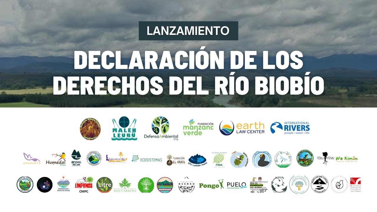 Lanzamiento Oficial Declaración de Derechos del Río Biobío (24 de Septiembre, 2024)