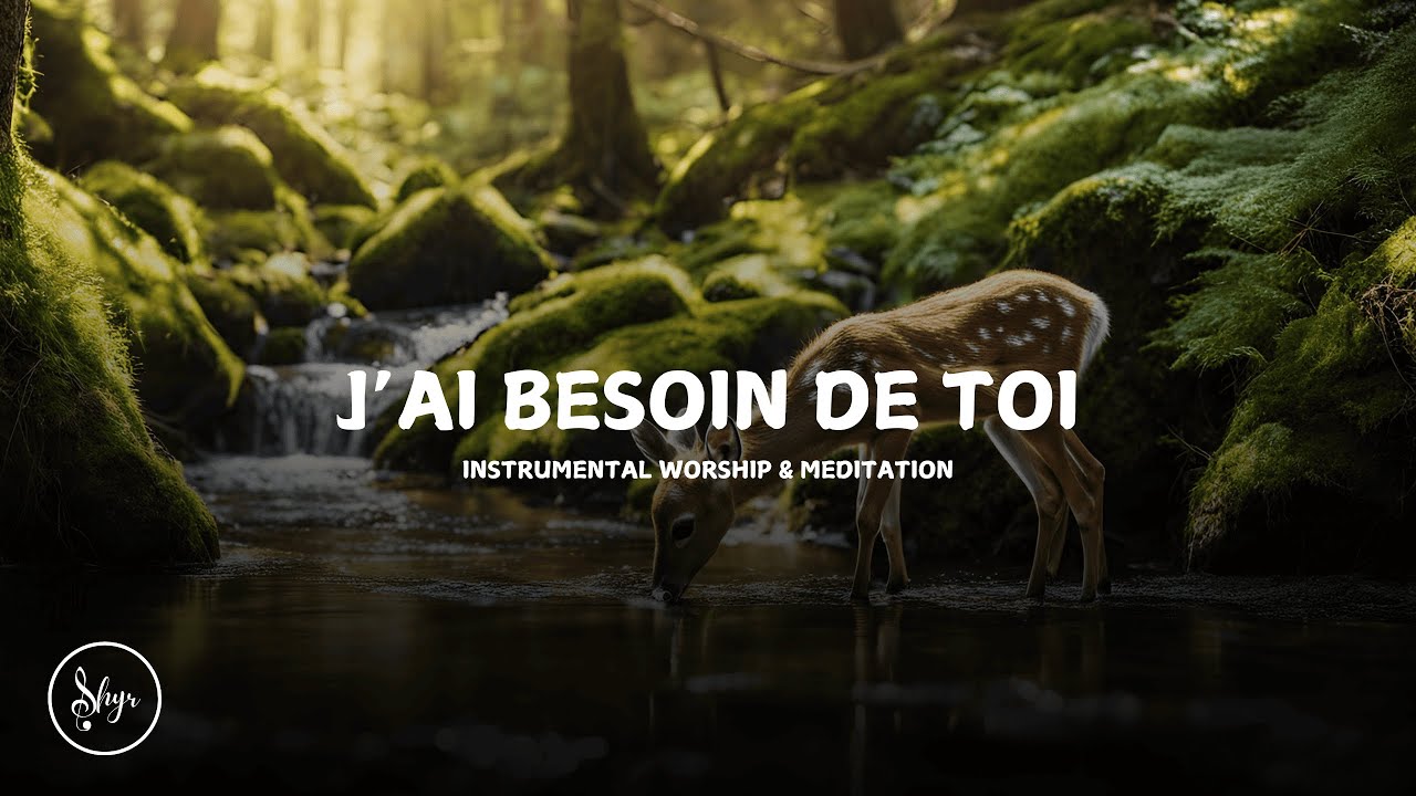 J'AI BESOIN DE TOI | Shiyr Official - INSTRUMENTAL WORSHIP & MEDITATION