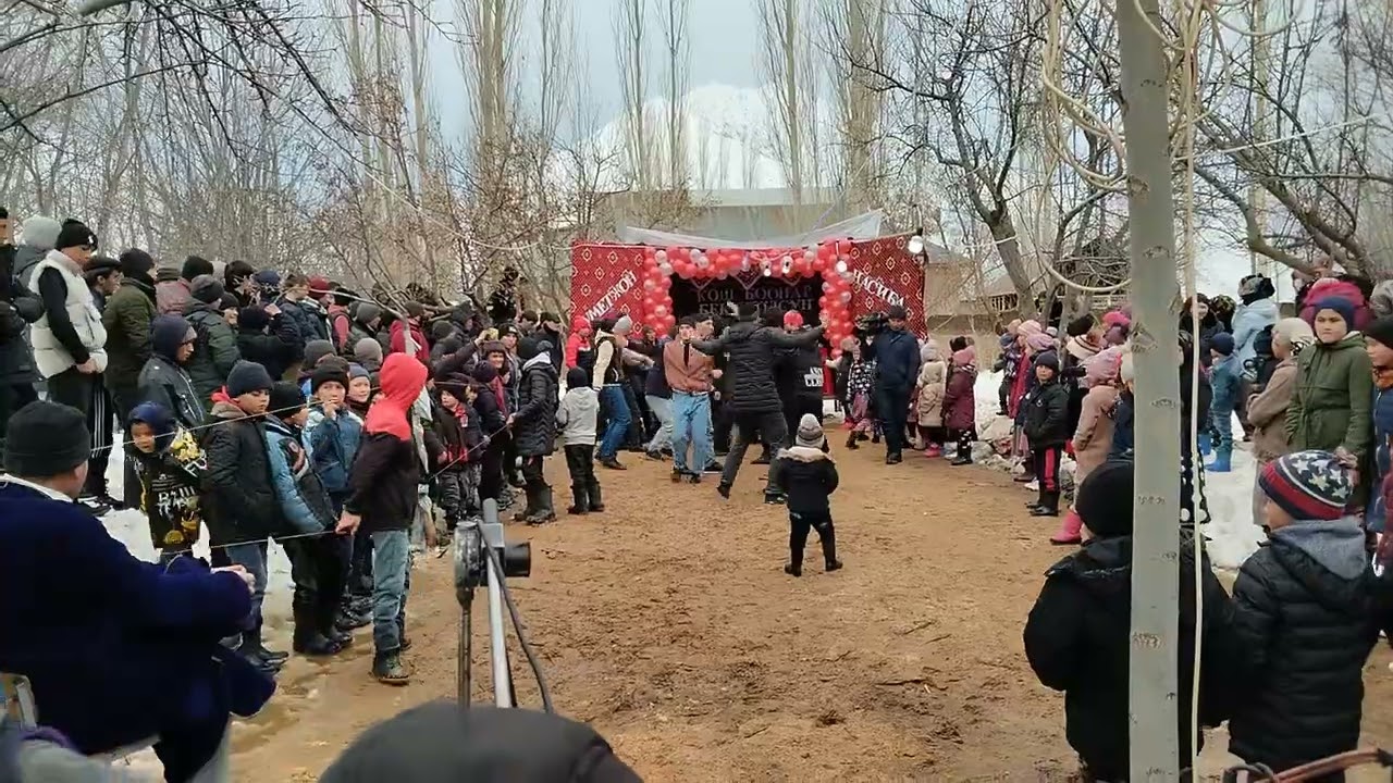 туй Чиргатол