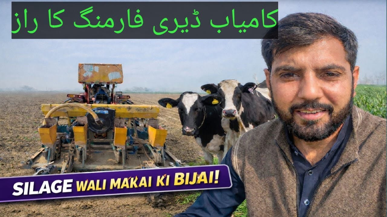 Silage Wali Makai Ki Bijai | Kamyab Dairy Farming Ka Secret (Machinery + Digital System)