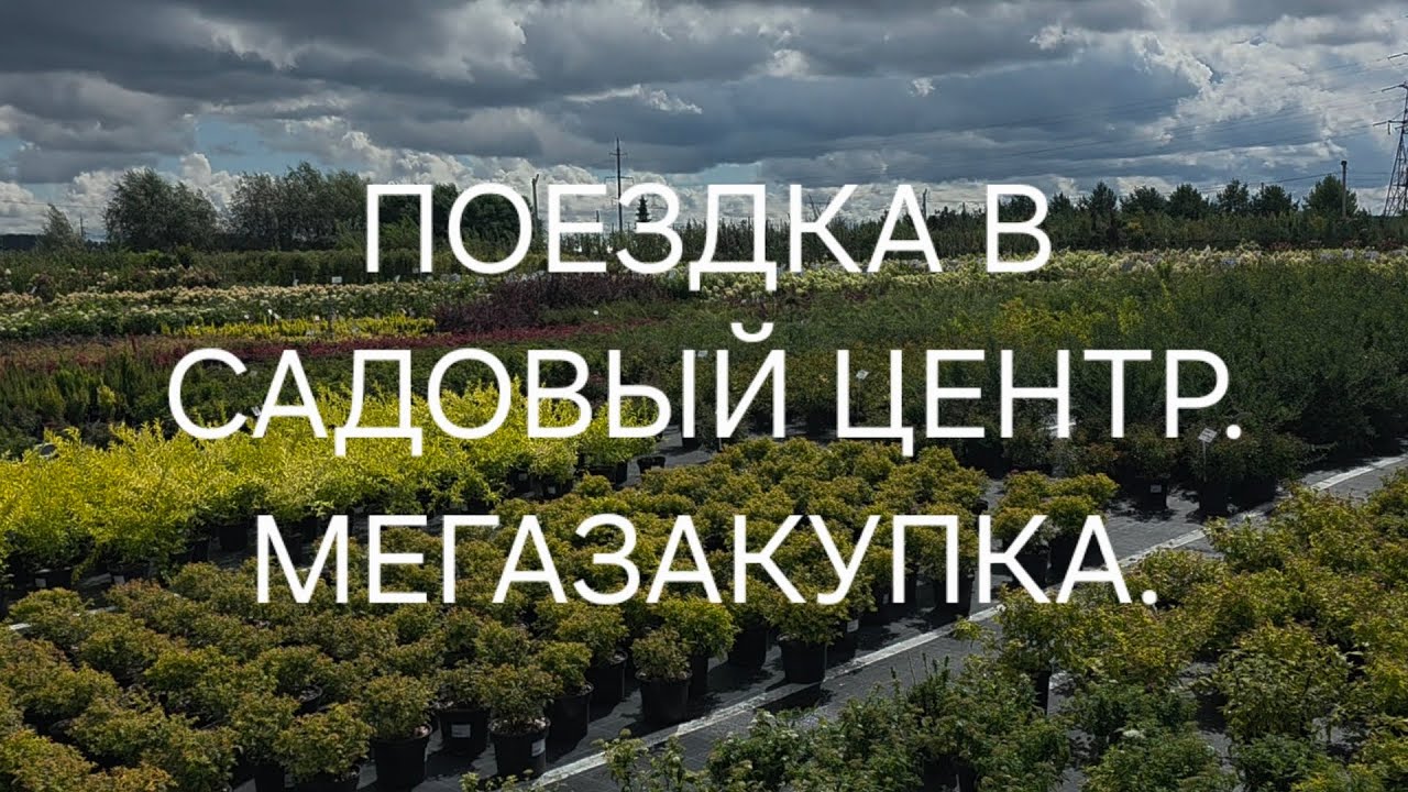 ПОЕЗДКА В САДОВЫЙ ЦЕНТР. МЕГАЗАКУПКА.🌿🌲